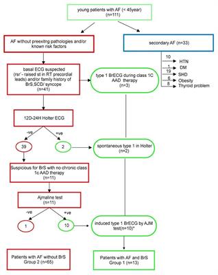 Prevalence and Clinical Significance of Latent Brugada Syndrome in Atrial Fibrillation Patients Below 45 Years of Age